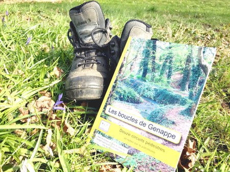 Illustration de l'actualité - cliquer pour agrandir